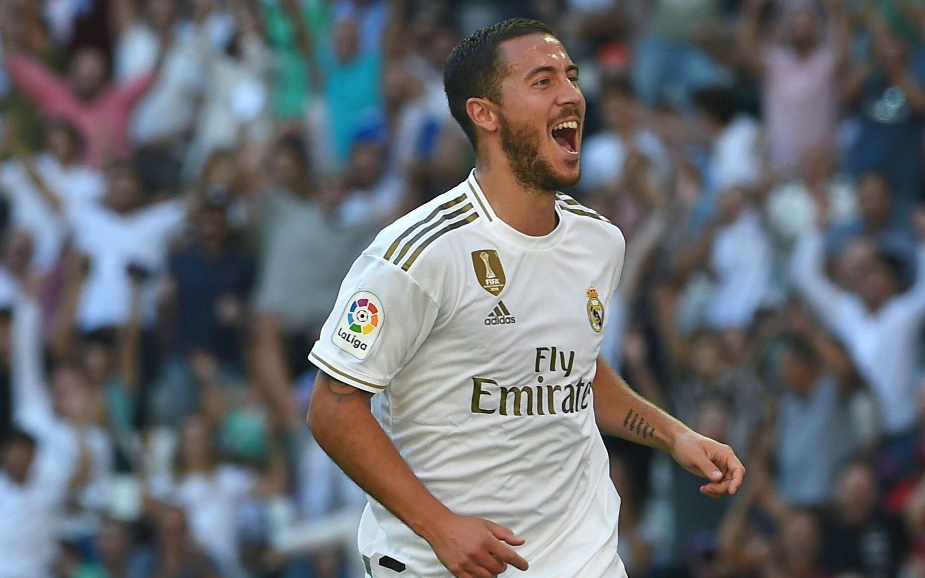 W系列双链破碎机